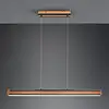 Image de TRIO Leuchten Deacon Suspension, LED, 326610232,