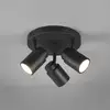 Image de TRIO Leuchten Angelo Projecteur, GU10, 880430332,