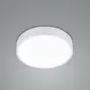 Image de TRIO Leuchten Waco Plafonnier, LED, 627413031,