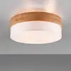 Image de TRIO Leuchten Seasons Plafonnier, E27, 611500301,
