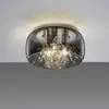 Image de TRIO Leuchten Crystel Plafonnier, E14, 616700306,