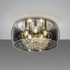 Image de TRIO Leuchten Crystel Plafonnier, E14, 616700506,