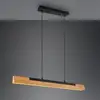 Image de TRIO Leuchten Kerala Suspension, LED, 341610132,