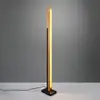 Image de TRIO Leuchten Kerala Lampadaire, LED, 441610132,
