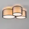 Image de TRIO Leuchten Burton Plafonnier, 3 sources de lumière, 611490332,