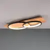 Image de TRIO Leuchten Barca Plafonnier LED, 2 sources lumineuses, 641110232,