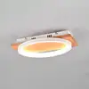 Image de TRIO Leuchten Barca Applique murale, LED, 241110131,
