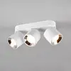 Image de TRIO Leuchten Guayana Projecteur, GU10, 651000331,