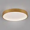 Image de TRIO Leuchten Doha Plafonnier LED, 641310208,