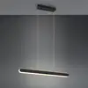 Image de TRIO Leuchten Helios Suspension, LED, 343310332,