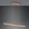 Image de TRIO Leuchten Helios Suspension LED, 343310165,