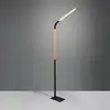 Image de TRIO Leuchten Norris Lampadaire LED, 445210132,