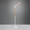 Image de TRIO Leuchten Norris Lampadaire LED, 445210131,