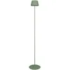 Image de Reality Leuchten Suarez R47706149 Lampadaire d'extérieur à batterie en métal vert pistache avec LED 1,5 W 4 touches tactiles