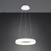 Image de TRIO Leuchten Cardona Suspension LED, 349614531,