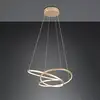 Image de TRIO Leuchten Darvin Suspension LED, 349110179,