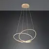 Image de TRIO Leuchten Darvin Suspension LED, 349119179,