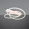 Image de TRIO Leuchten Darvin Plafonnier LED, 649110131,