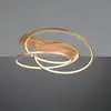 Image de TRIO Leuchten Darvin Plafonnier LED, 649110179,