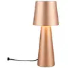 Image de TRIO Leuchten Nubian Lampe de table E27, 562900165,