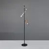 Image de TRIO Leuchten Fiato Lampadaire LED, 452010317,