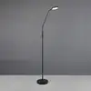 Image de Reality Leuchten Moreno Lampadaire sans fil, LED, R44561132,