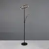 Image de TRIO Leuchten Willis Lampadaire LED, 449510232,