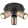 Image de TRIO Leuchten Gillan Projecteur GU10, 814530365,
