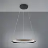 Image de TRIO Leuchten Amador Suspension LED, 331019132,