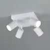 Image de TRIO Leuchten Soka Projecteur, 867730431,
