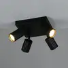 Image de TRIO Leuchten Soka Projecteur, 867730432,