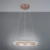 Image de TRIO Leuchten Amador Suspension LED, 331010165,