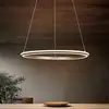 Image de TRIO Leuchten Amador Suspension LED, 331019165,