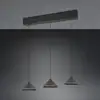 Image de TRIO Leuchten Laguna Suspension à 3 sources lumineuses, LED, 336210332,