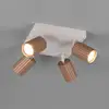 Image de TRIO Leuchten Soka Projecteur, 867730465,