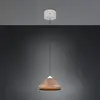 Image de TRIO Leuchten Laguna Suspension à 1 source lumineuse, LED, 336219165,