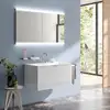 Image de Emco Evo Armoire de toilette, 2 portes, 939708116,