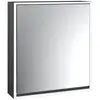 Image de Emco Loft Armoire de toilette, 1 porte, 979813302,