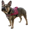 Image de Kerbl Pet Harnais Maestro 2.0 Burgundy, 72-103cm, 30mm