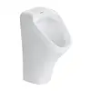 Image de Duravit DuraStyle Urinoir, 2804300000,