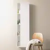 Image de Duravit DuraStyle Colonne, 1 porte, DS1249R1818,