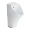 Image de Duravit DuraStyle Urinoir, 2806310000,