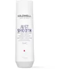 Image de GOLDWELL Dualsenses Just Smooth Taming Shampoo 250 ml