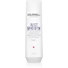 Image de Goldwell Dualsenses Just Smooth shampooing lissant pour cheveux indisciplinés 250 ml