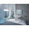 Image de Geberit Preciosa Lavabo mural, 124200000,