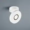 Image de Helestra GOTO Projecteur, LED, 15/2013.07,