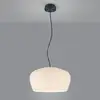 Image de Helestra VEDA Suspension E27, 16/2107.22/5300,