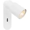 Image de SLV Puri 2.0 Tube Projecteur GU10, 1008298,