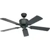 Image de Ventilateur de plafond CasaFan Eco Elements 5 pales (Ø x H) 132 cm x 285 mm graphite