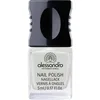 Image de Alessandro - Colour Explosion Vernis à ongles 5 ml Argent female